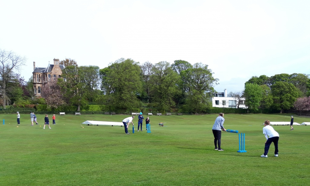 Parents v Players Kiwk Cricket