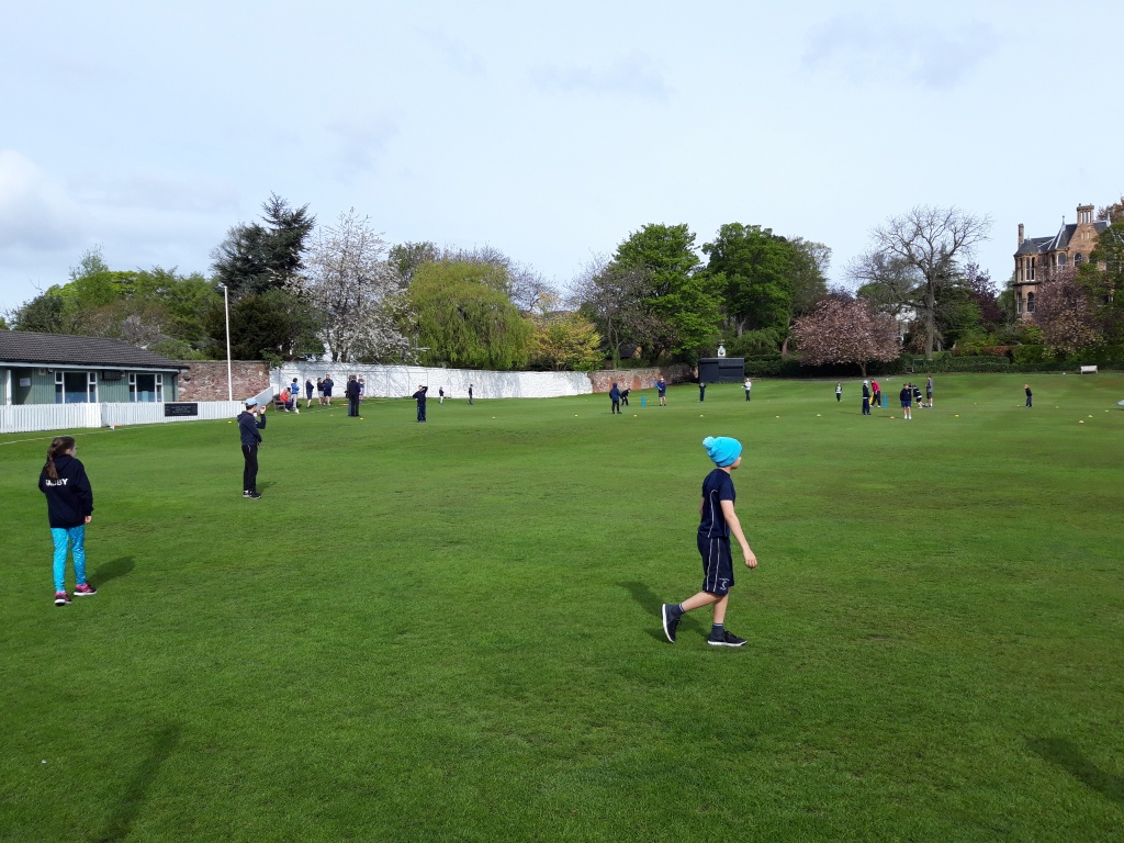 Kwik Cricket - Parent Vs Players