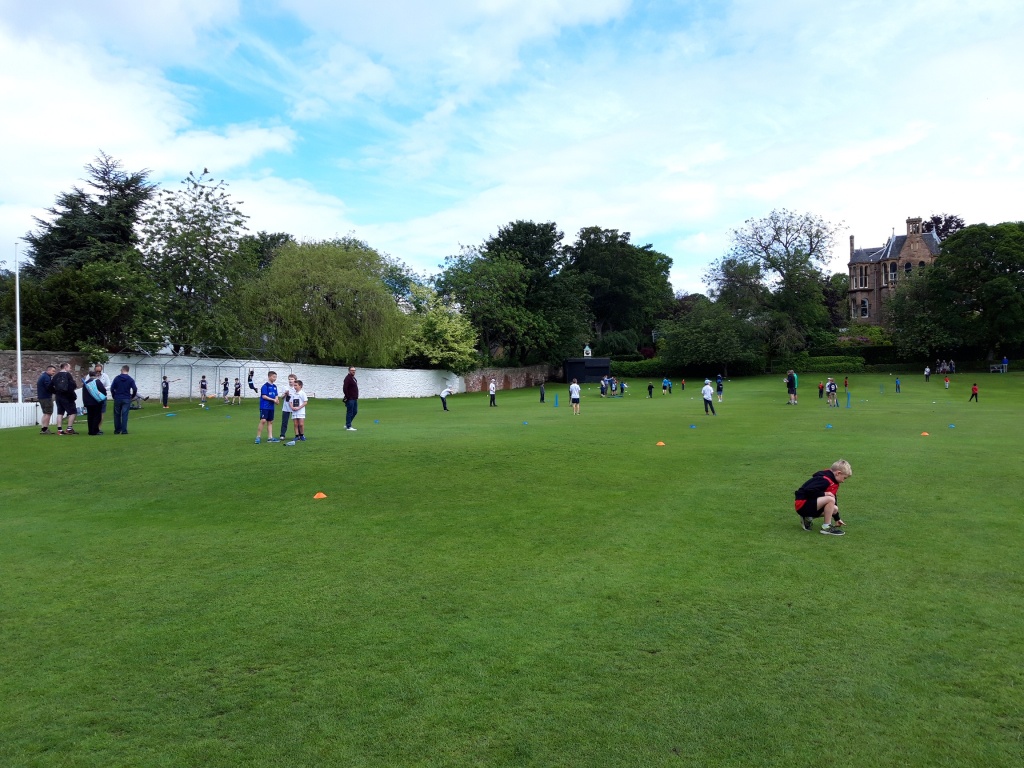 Carlton Kwik Cricket Festival