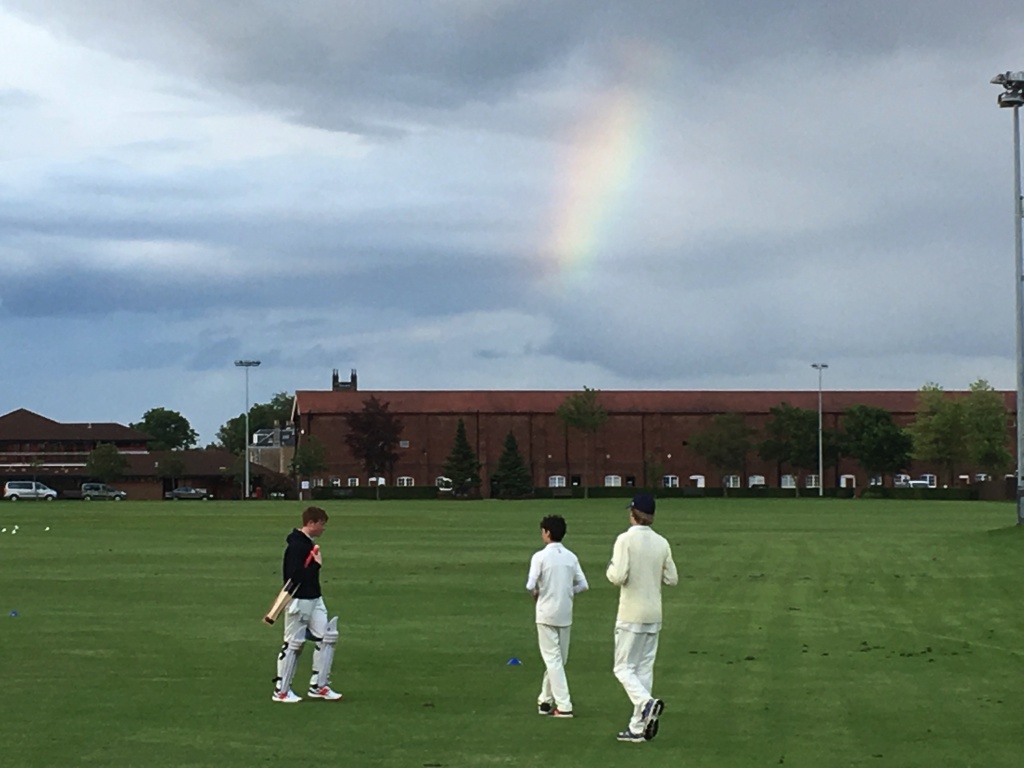 Carlton Falcons vs Stew Mel