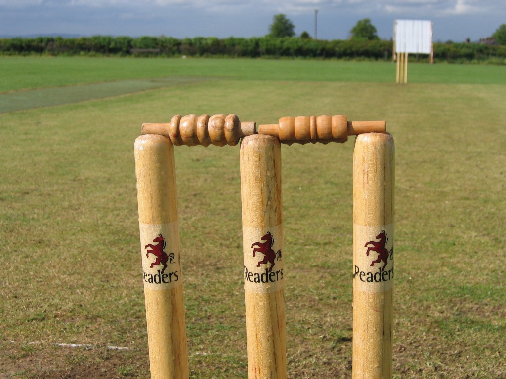 Cricket image