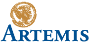 Carlton Juniors are sponsored by Artemis